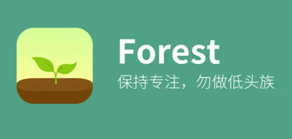 Forest专注森林免费版下载